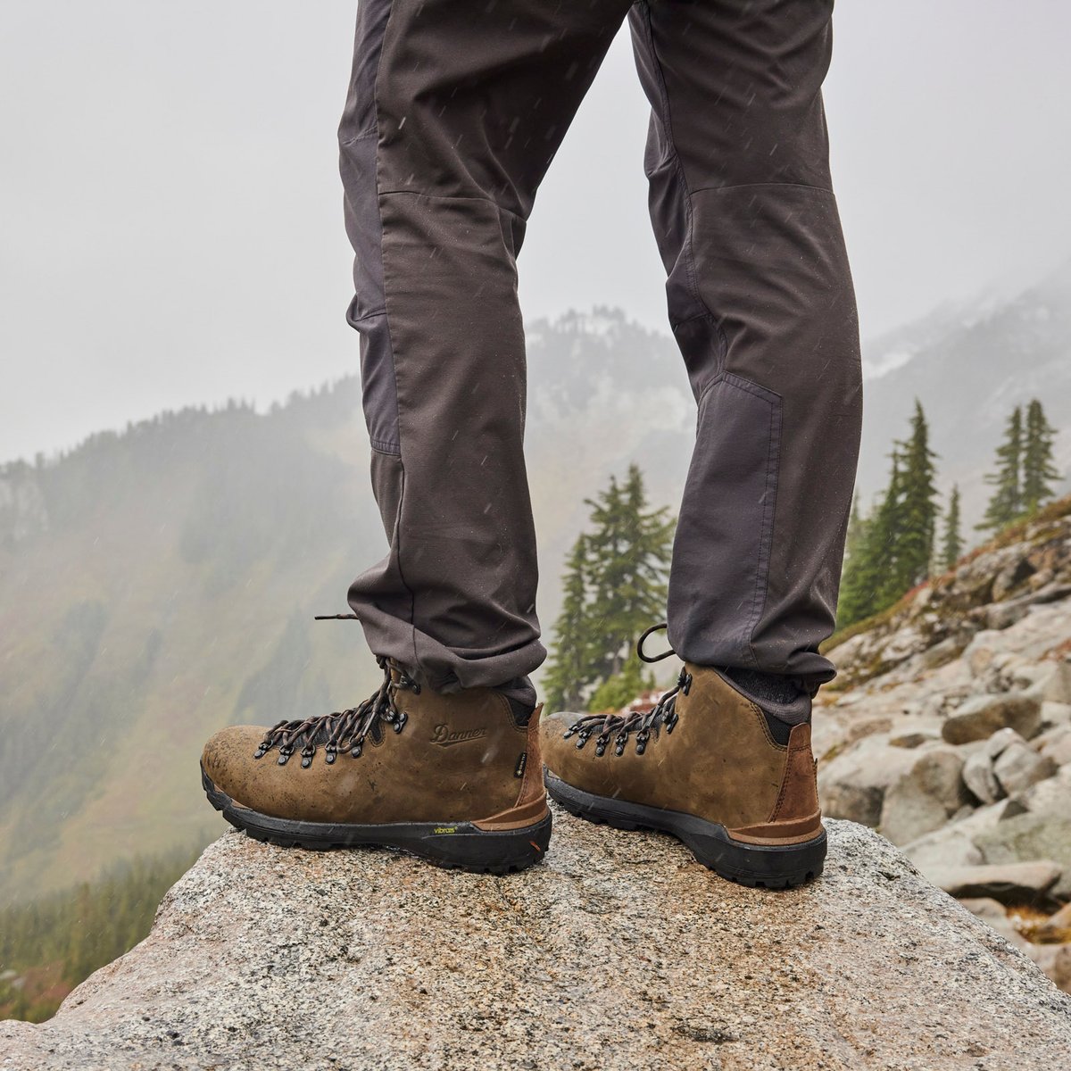 Danner | Mountain 600 EVO Topsoil Brown/Black
