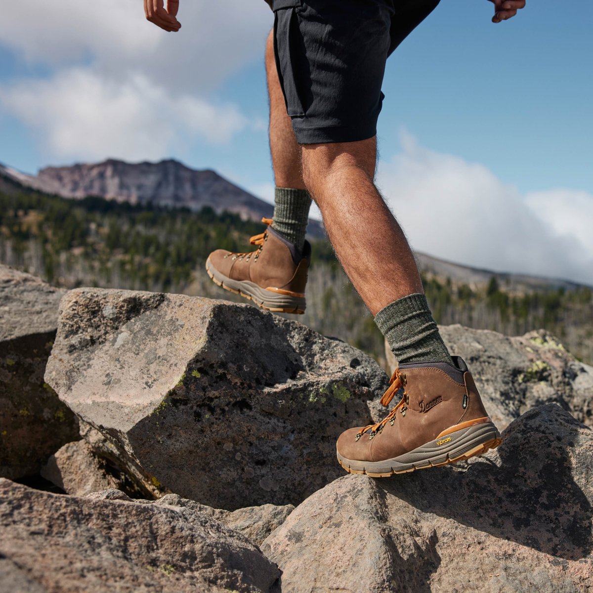 Danner | Mountain 600 Leaf GTX Loam Brown/Glazed Ginger