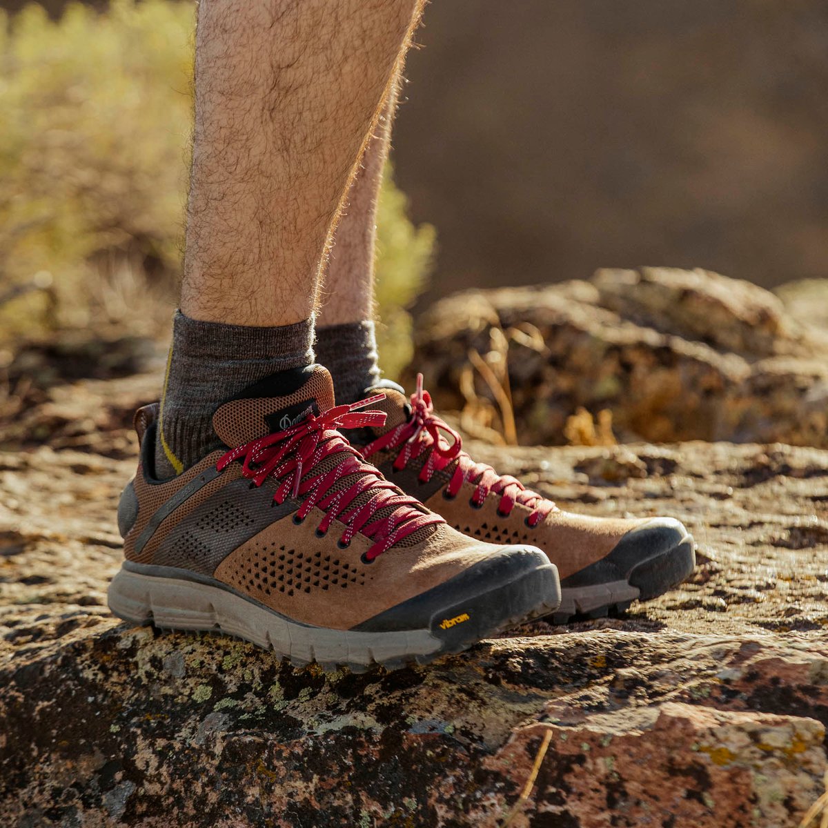 Danner | Trail 2650 Brown/Red