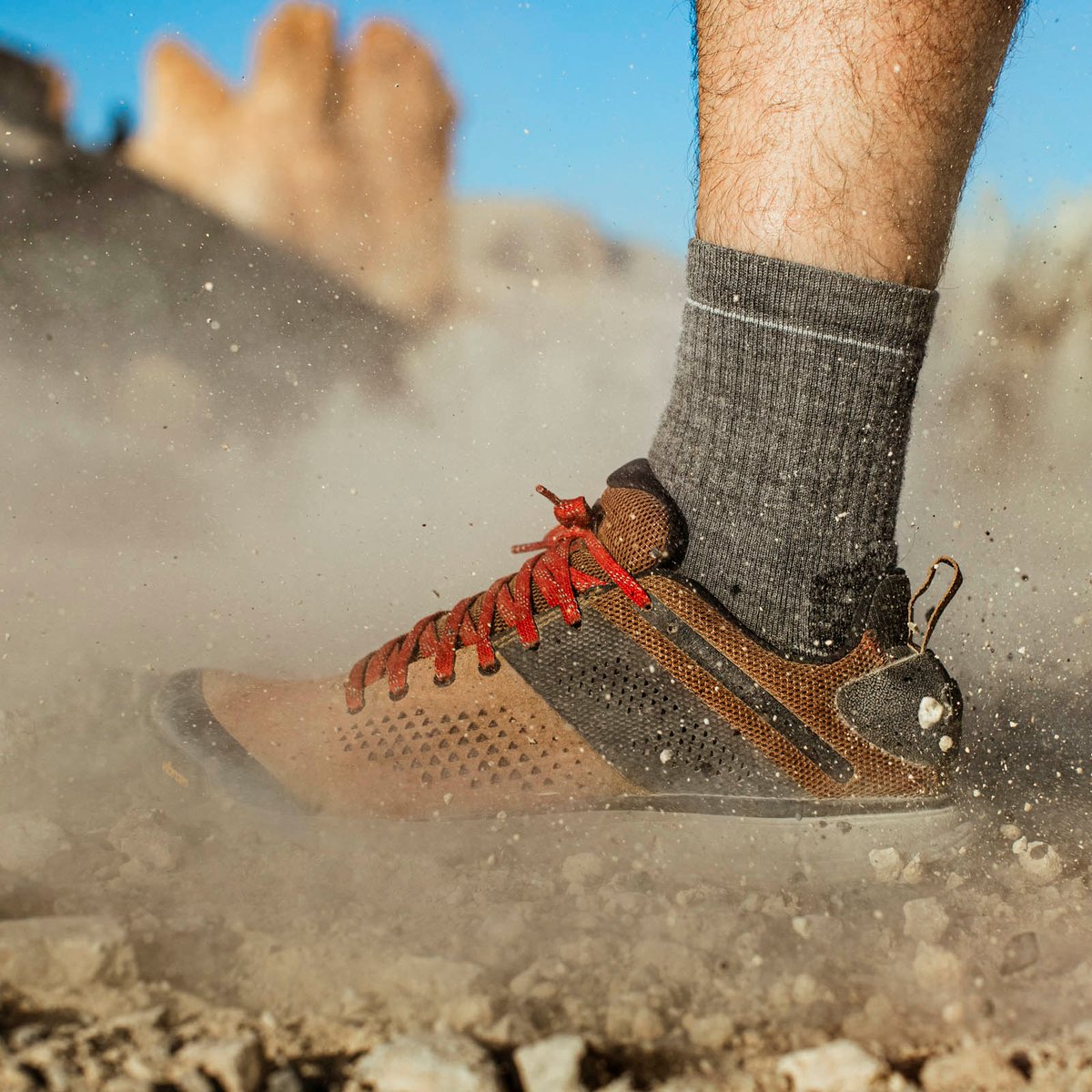 Danner | Trail 2650 Brown/Red