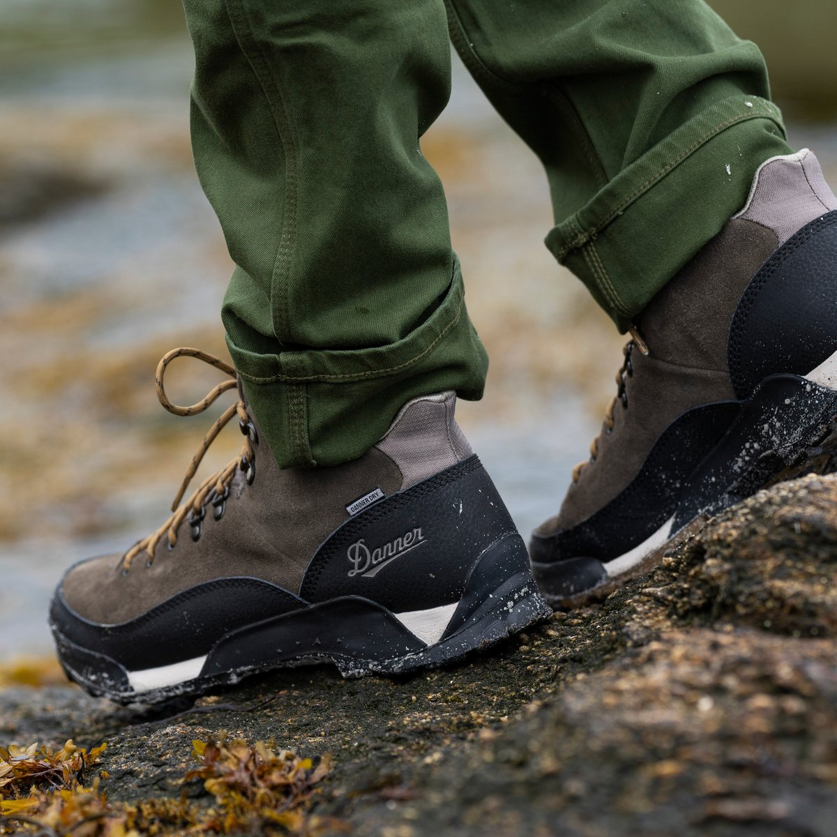 Danner | Panorama Mid 6" Black Olive
