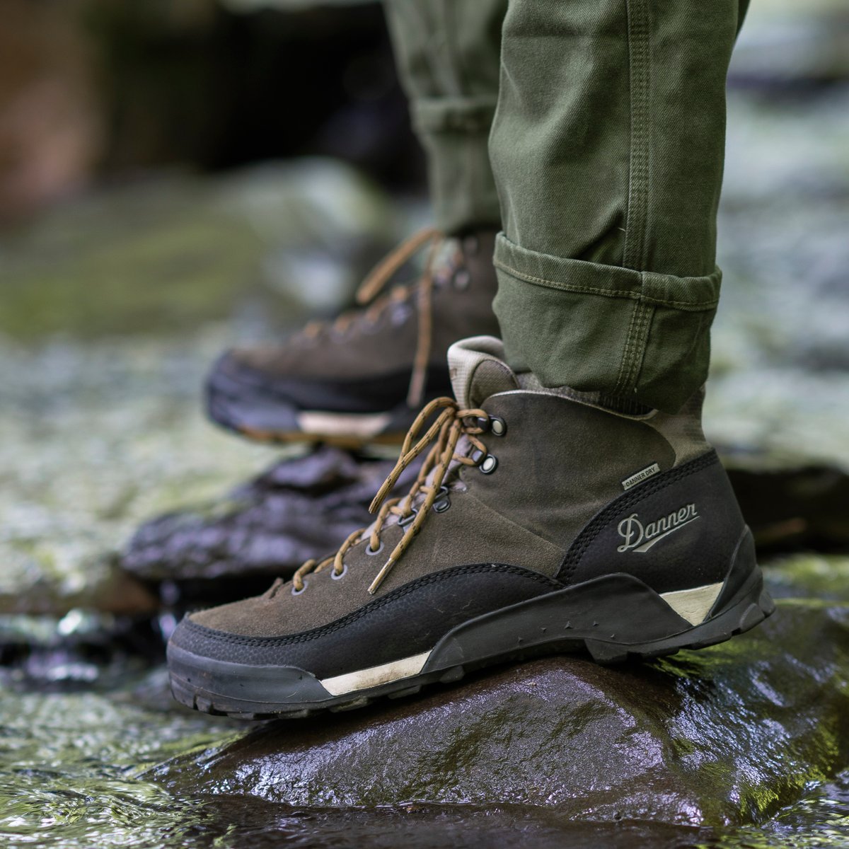 Danner | Panorama Mid 6" Black Olive