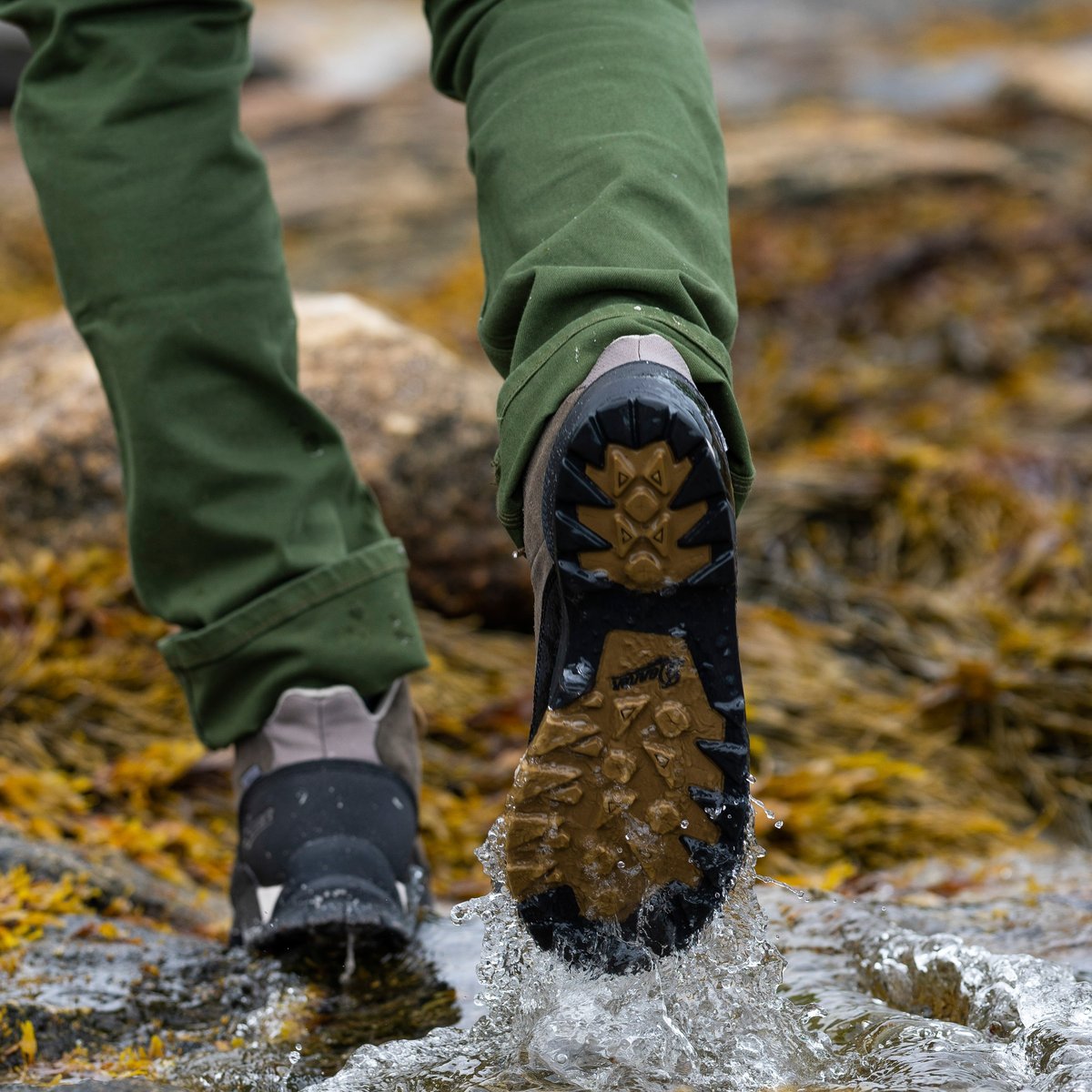 Danner | Panorama Mid 6" Black Olive