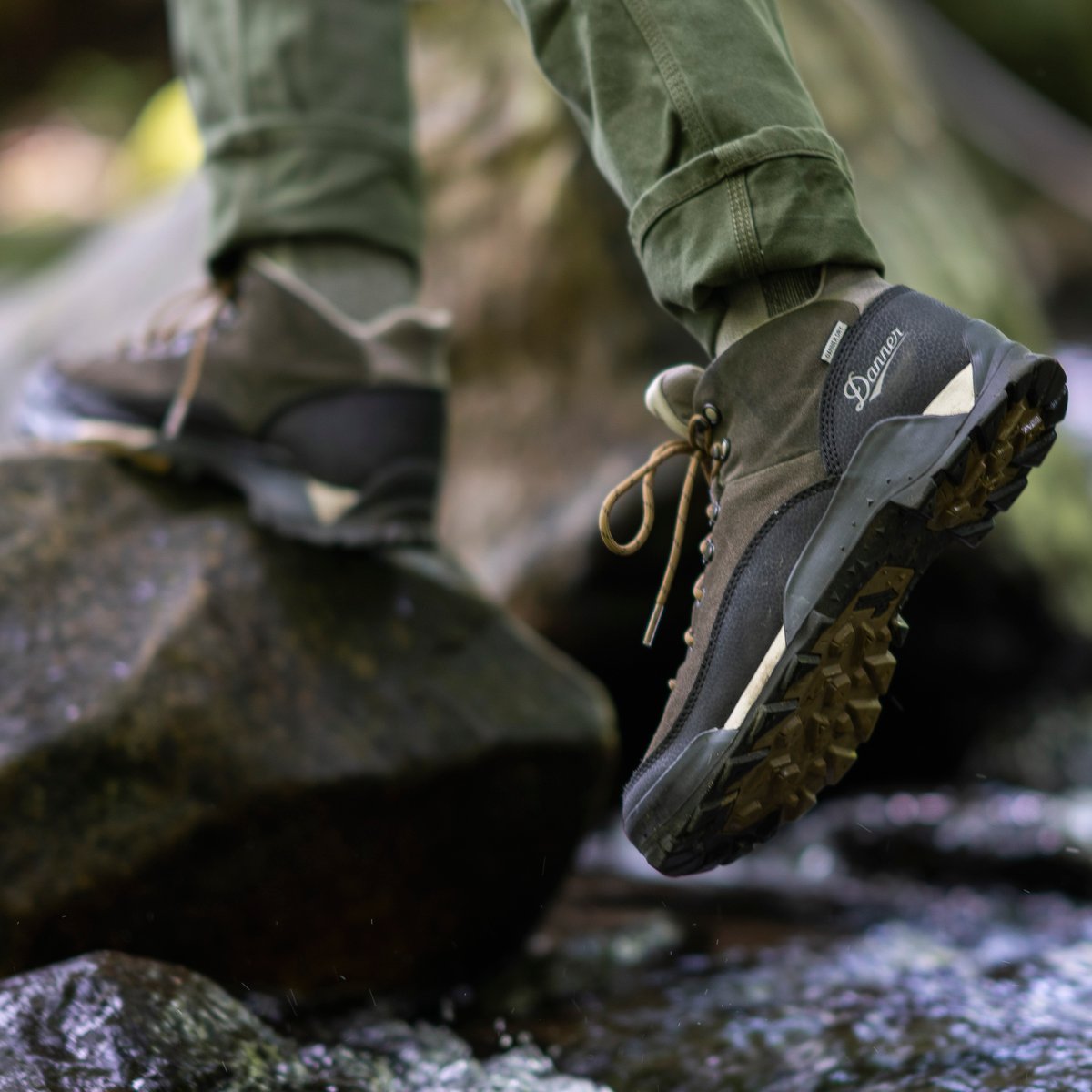Danner | Panorama Mid 6" Black Olive