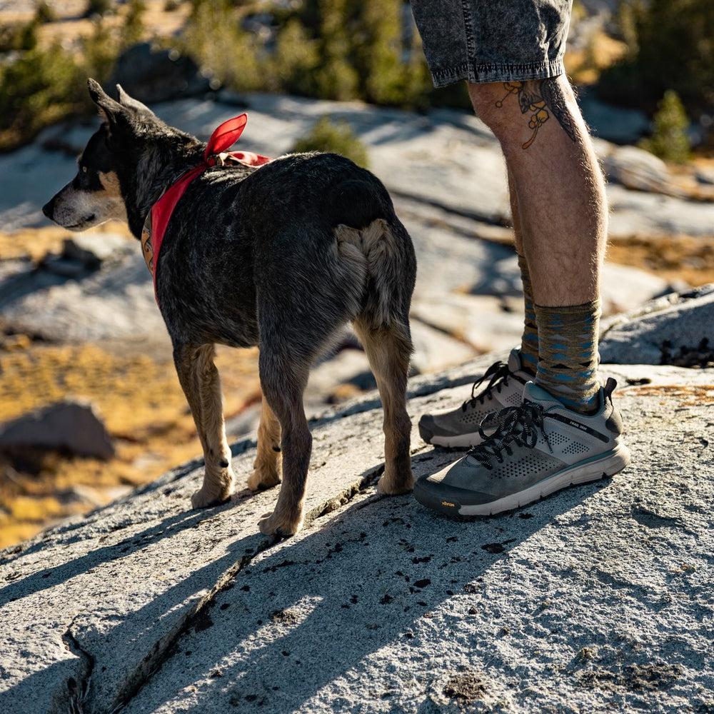 Danner | Trail 2650 Charcoal/Goblin Blue