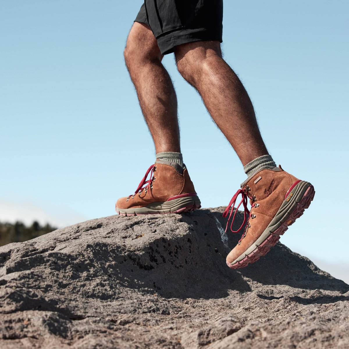 Danner | Mountain 600 Brown/Red