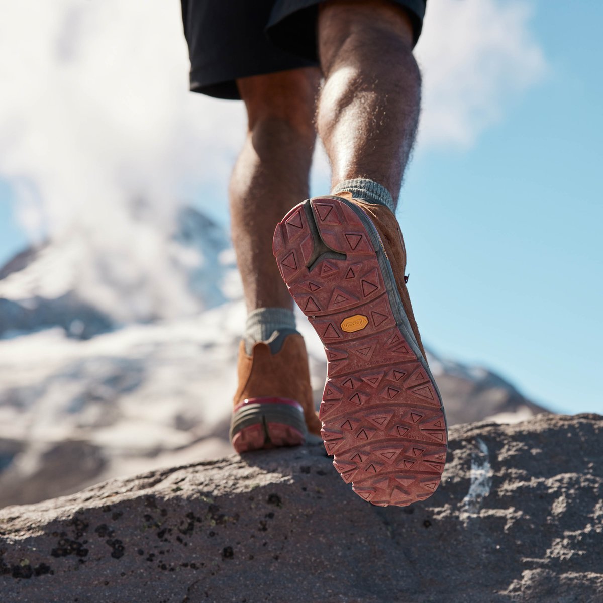 Danner | Mountain 600 Brown/Red