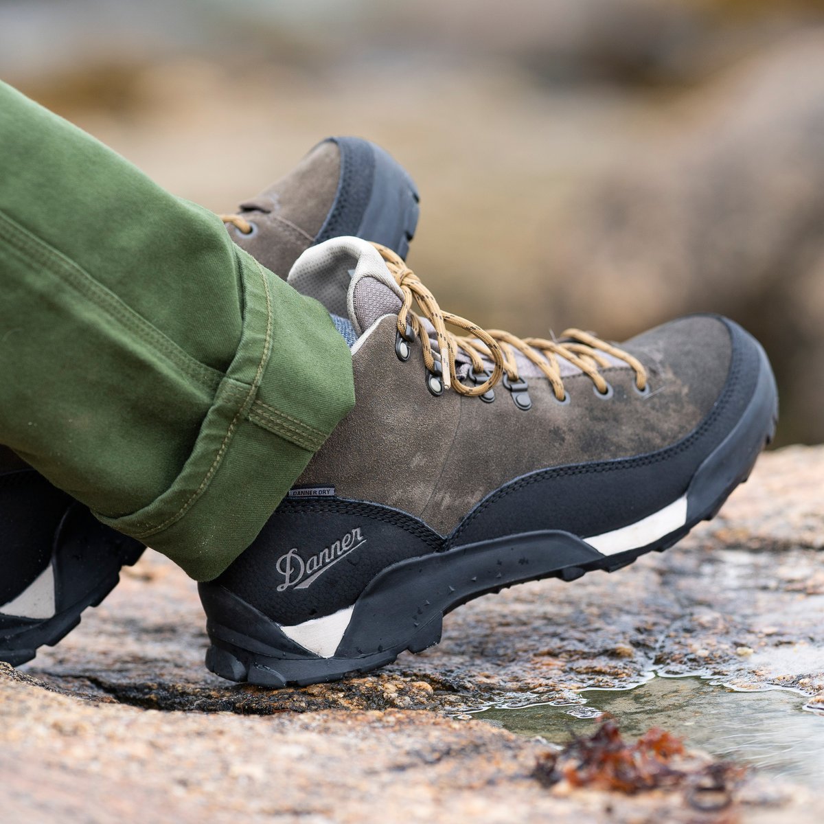 Danner | Panorama Low 4" Black Olive