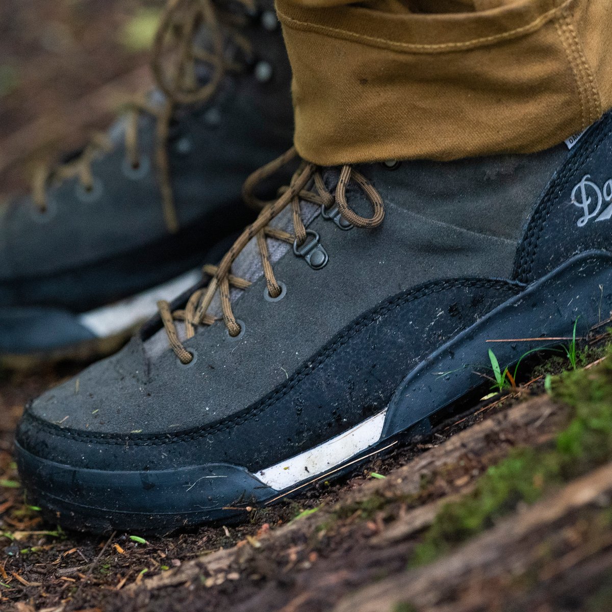 Danner | Panorama Low 4" Black Olive