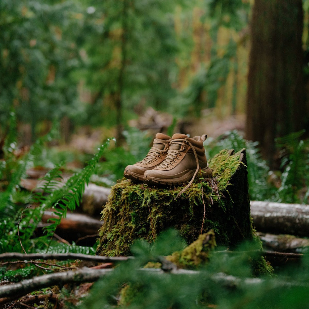 Danner | Trail Trainer Coyote