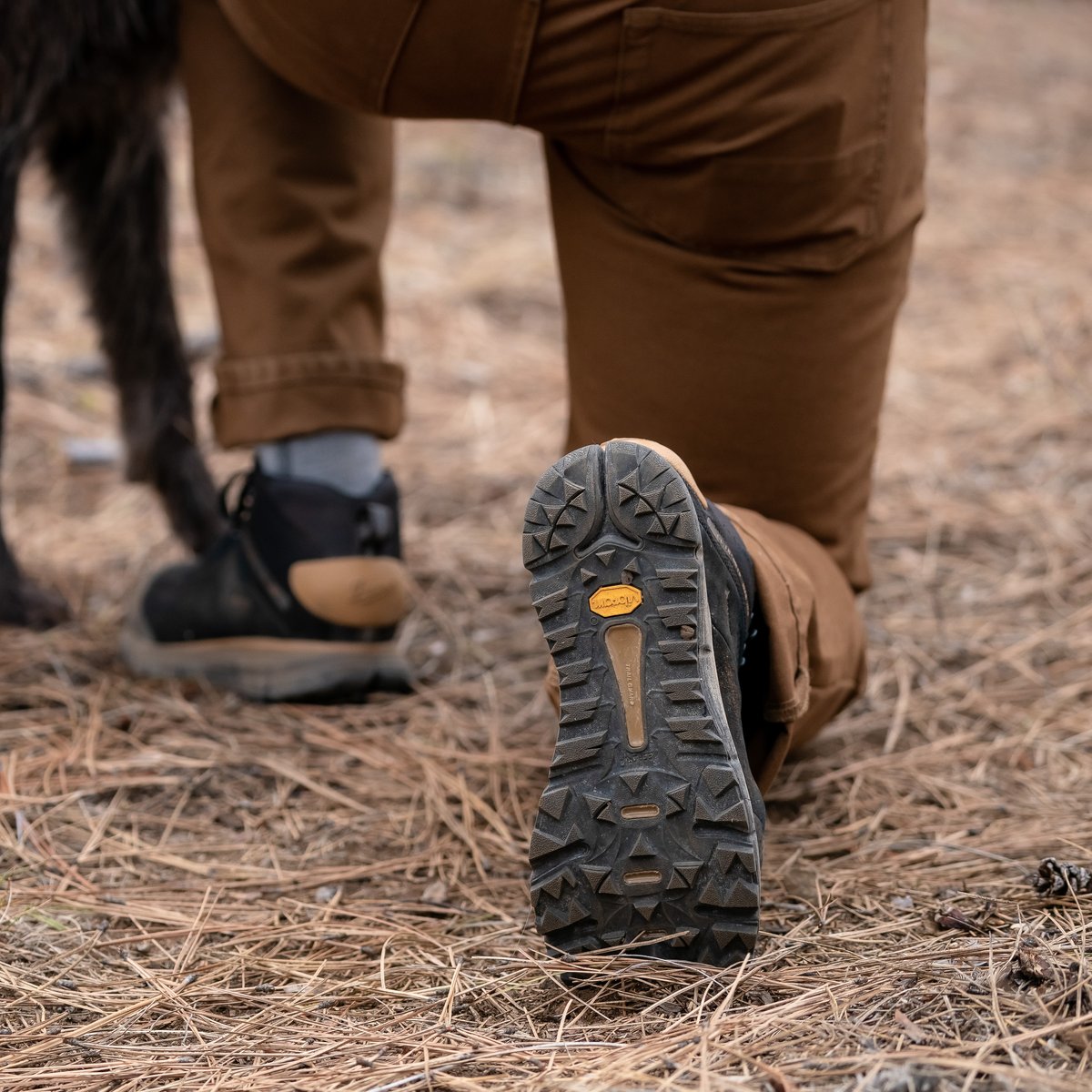 Danner | Danner X Filson Trail 2650 Mid GTX Jet Black