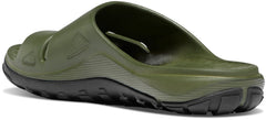 Danner | Shelter Cove Forest