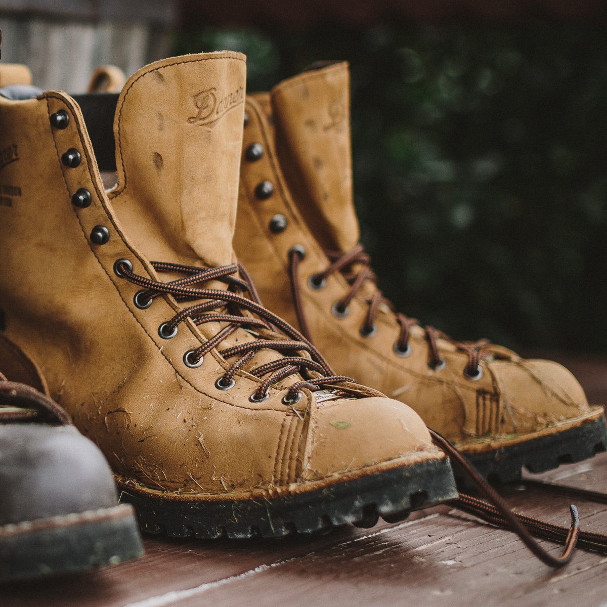 Danner | Elk Hunter Brown