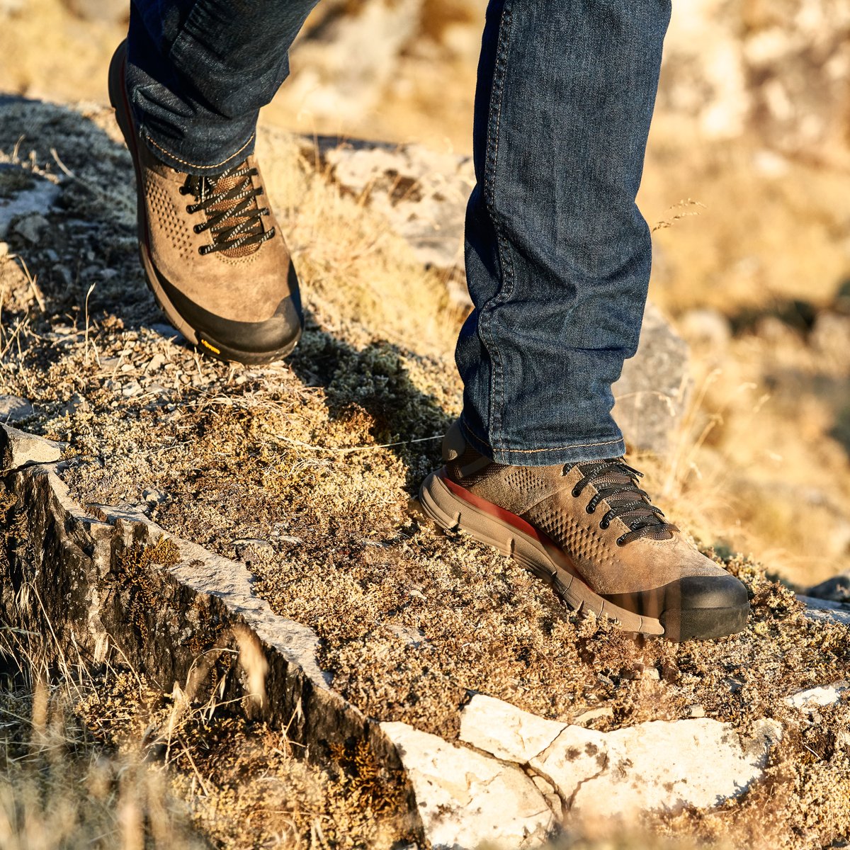 Danner | Trail 2650 GTX Mid Dusty Olive
