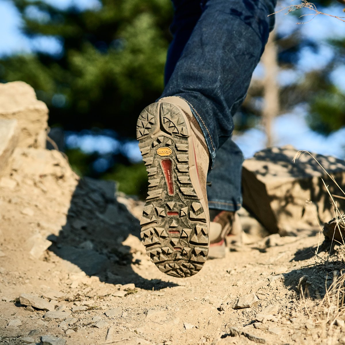 Danner | Trail 2650 GTX Mid Dusty Olive