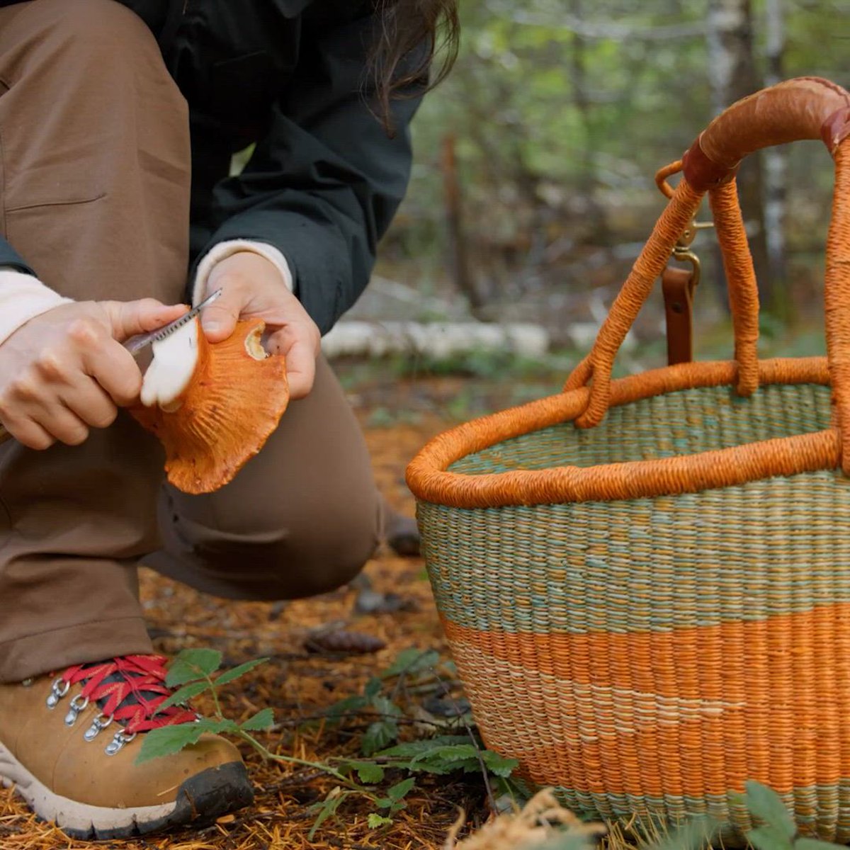 Danner | Boulder Ridge Pants Dusty Olive