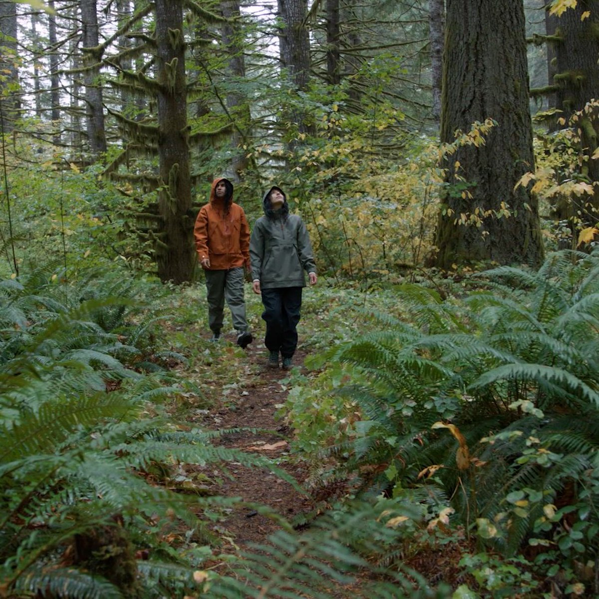 Danner | Cascade Crest Packable GTX Pants Dusty Olive