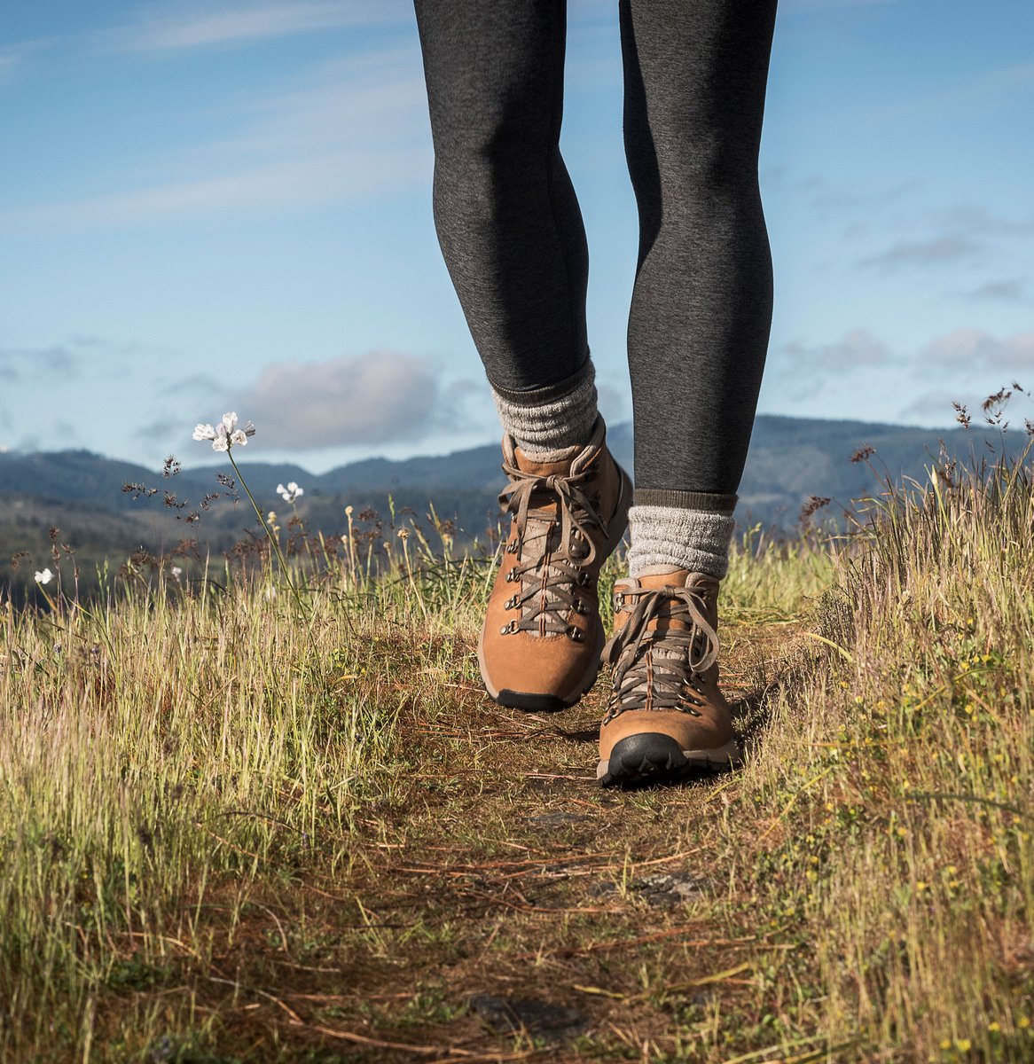 Danner | Mountain 600 Rich Brown
