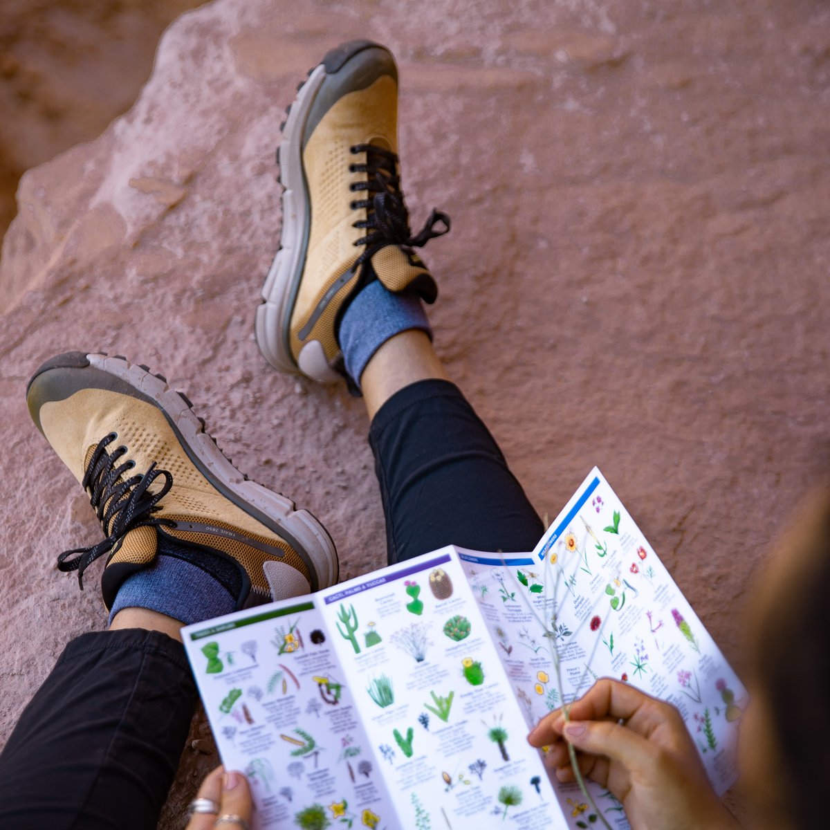 Danner | Trail 2650 GTX Prairie Sand/Gray