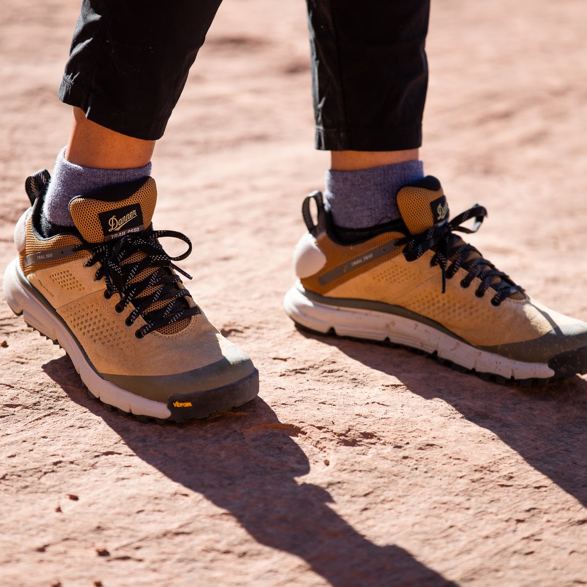 Danner | Trail 2650 GTX Prairie Sand/Gray