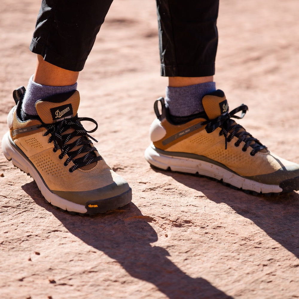 Danner | Trail 2650 GTX Prairie Sand/Gray