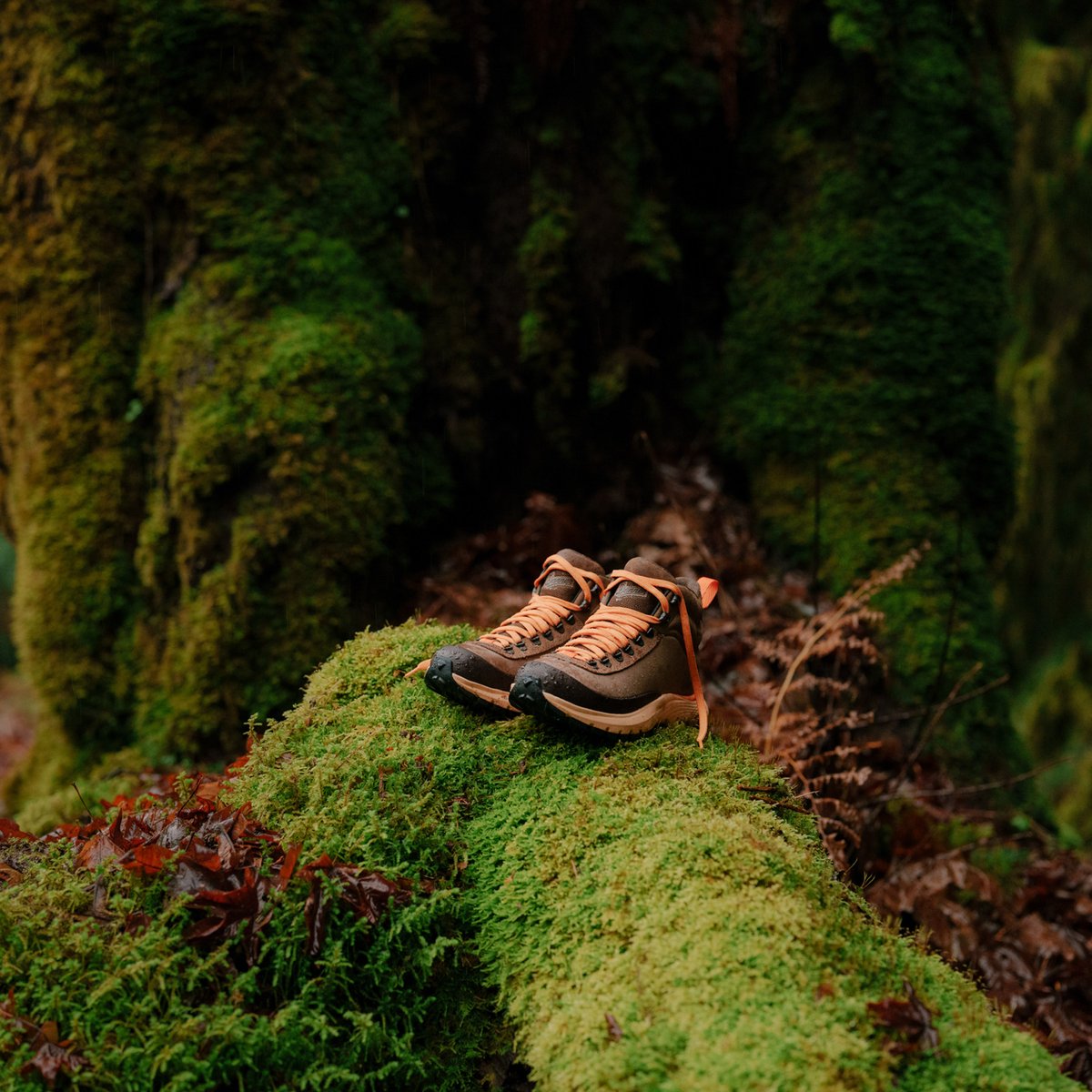 Danner | Trail Trainer Malt Brown/Orange Peel