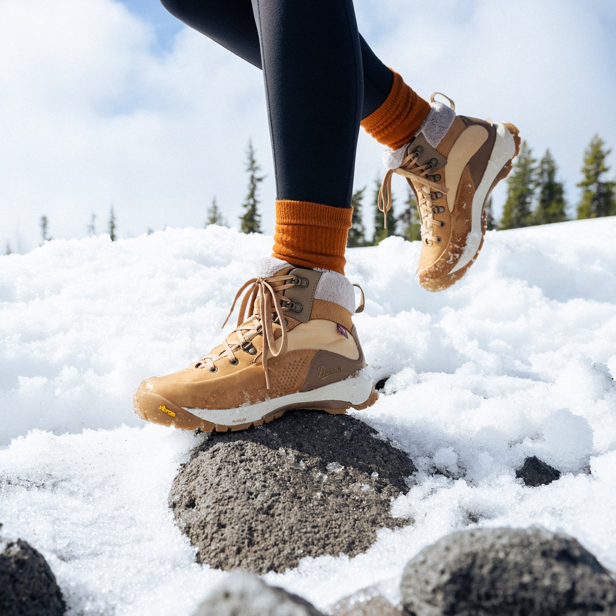 Danner | Inquire Winter Bone Brown/Coyote 200G