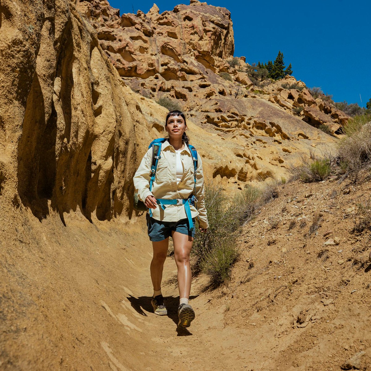 Danner | Trail 2650 Oil Green/Jet Black