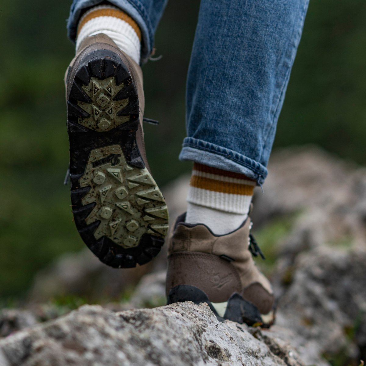 Danner | Panorama Mid 6" Gray