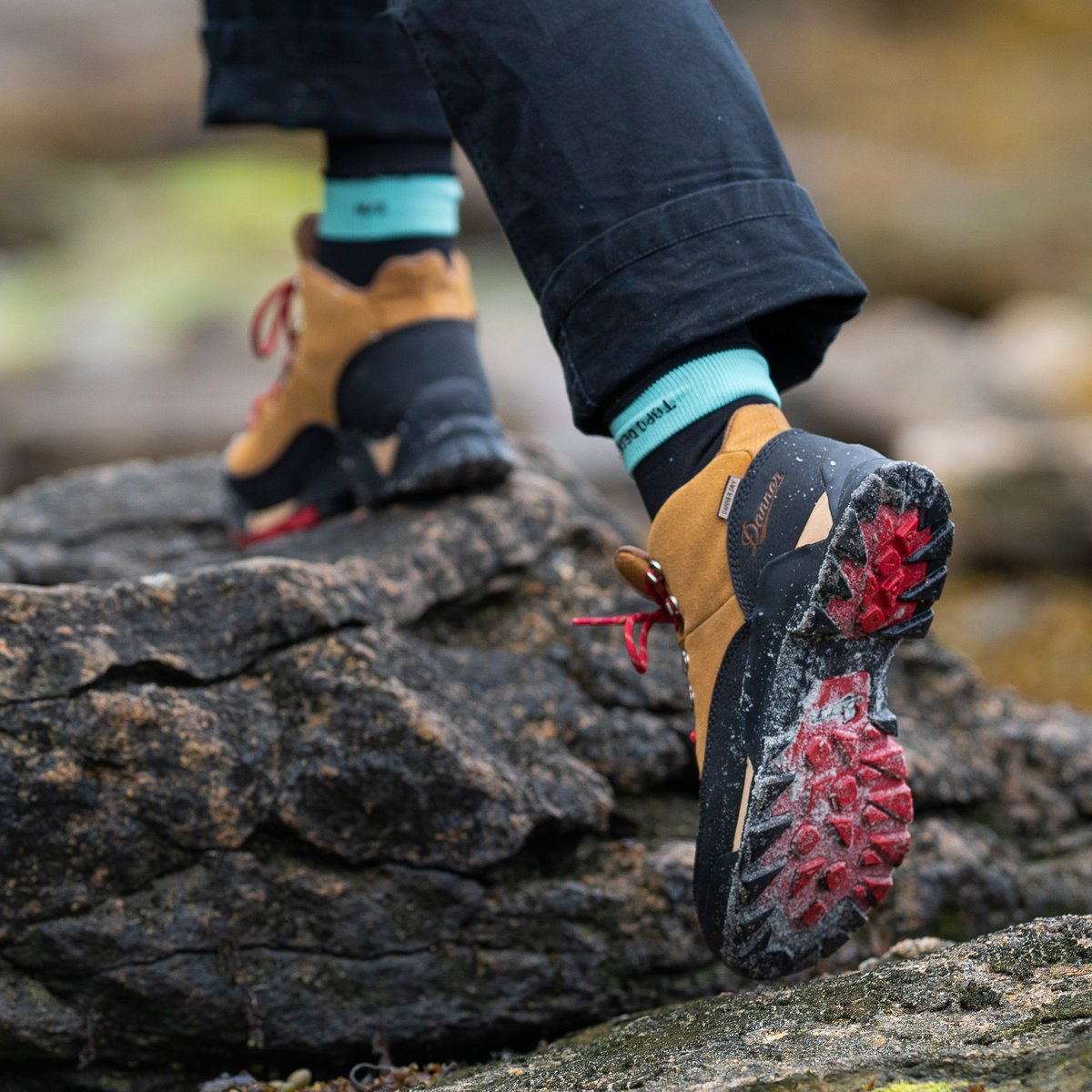Danner | Panorama Mid 6" Brown/Red
