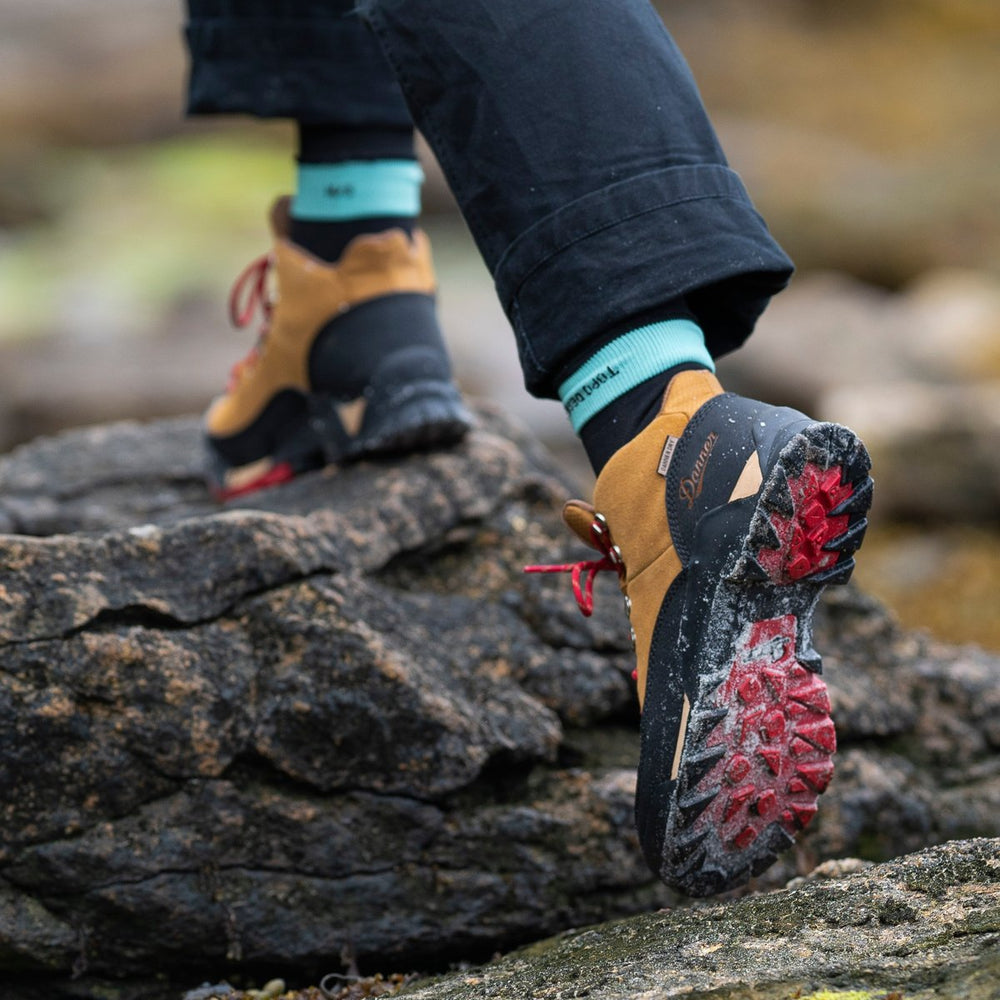 Danner | Panorama Mid 6" Brown/Red
