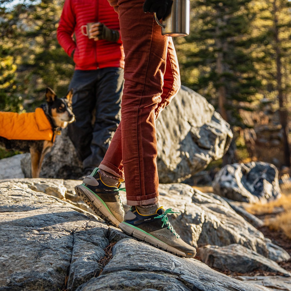 Danner | Trail 2650 Gray/Blue/Spectra Yellow